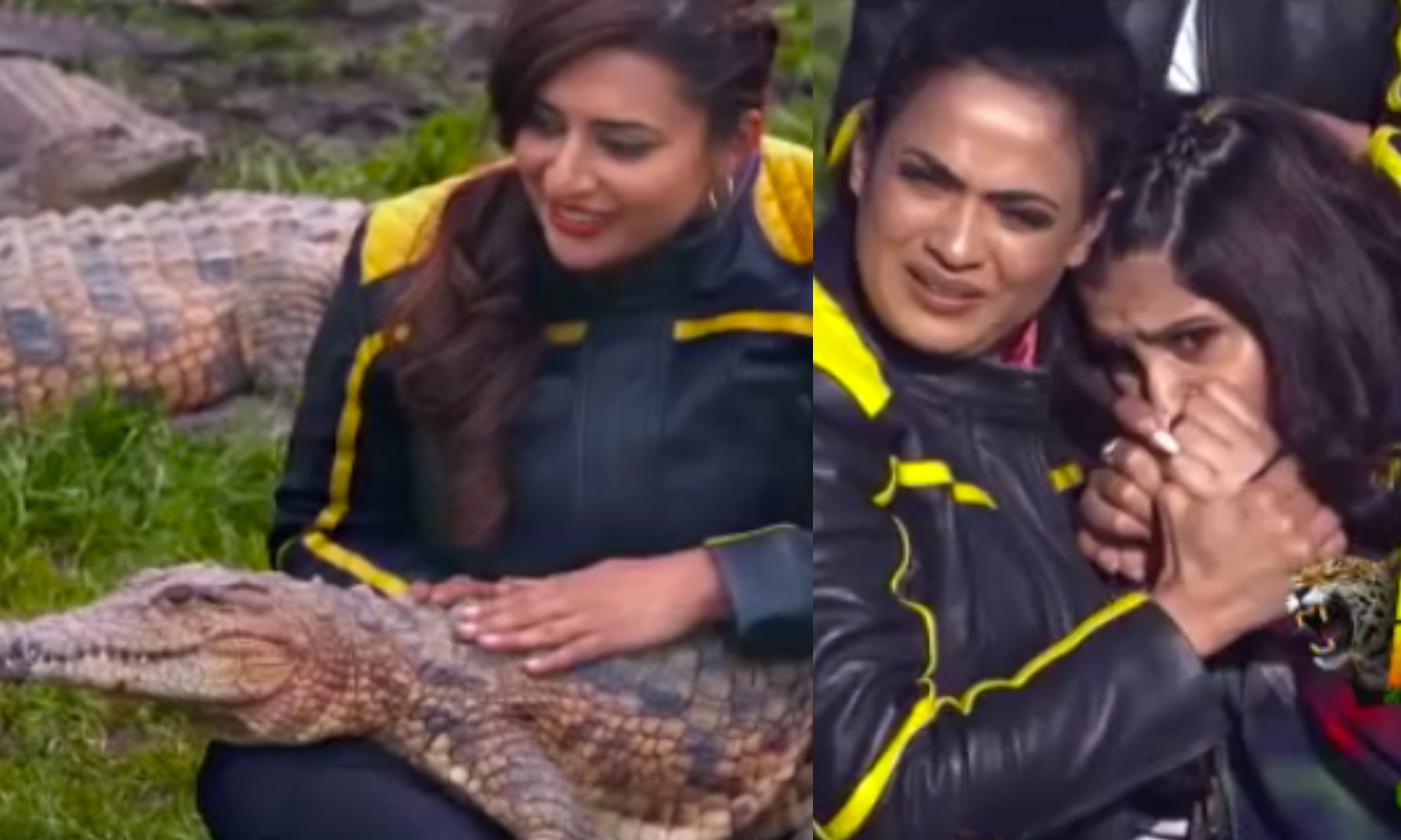 Khatron Ke Khiladi 11: Divyanka Tripathi sings a lullaby for a crocodile as  Shweta Tiwari watches in fear - Masala