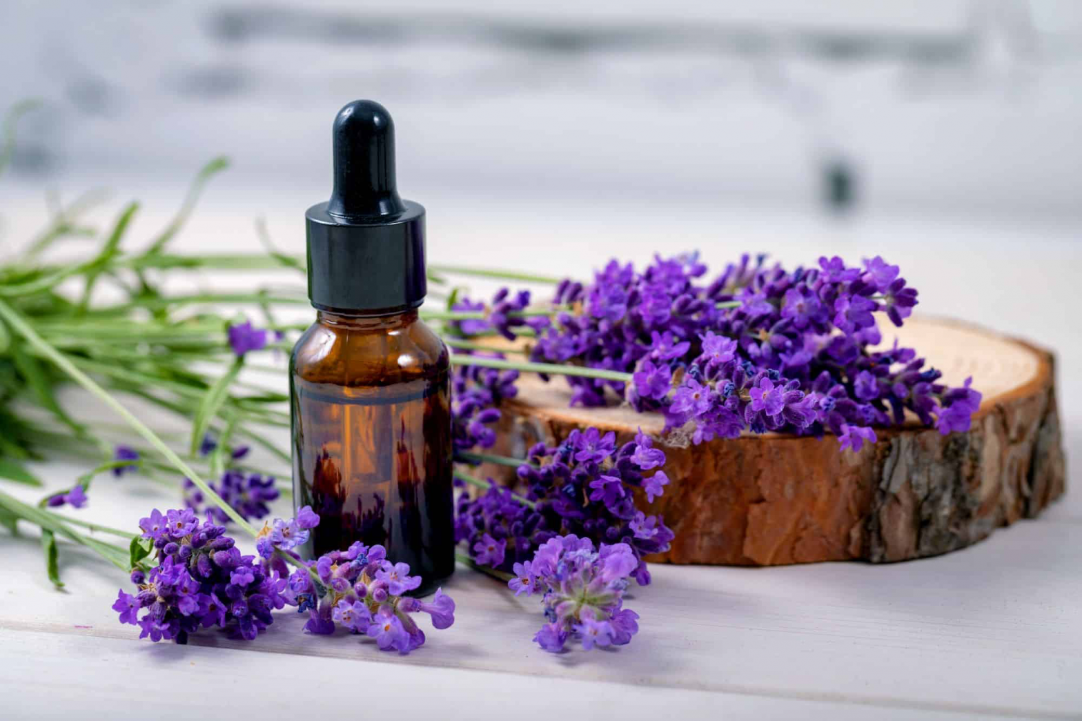 Lavender oil 5 wellness benefits and uses of the ingredient