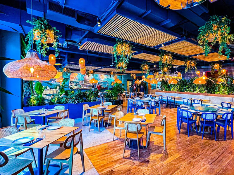 Blue Seafood Asia: Hottest New Ladies Night at with 20% off!