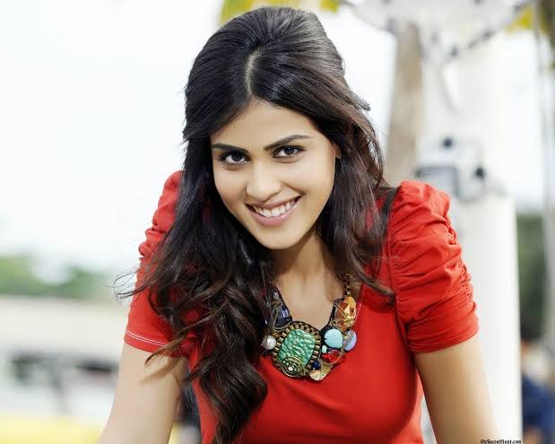 Genelia D'Souza recalls a derogatory comment on her doing South films

