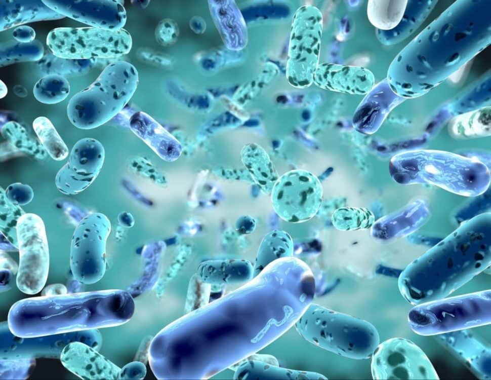 Probiotics What they are, why we need them and what they do; here are