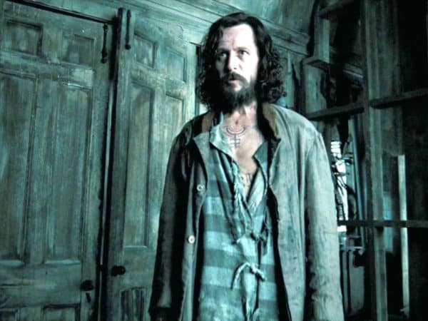 DYK Harry Potter #39 s Albus Dumbledore Sirius Black Remus Lupin #39 s death