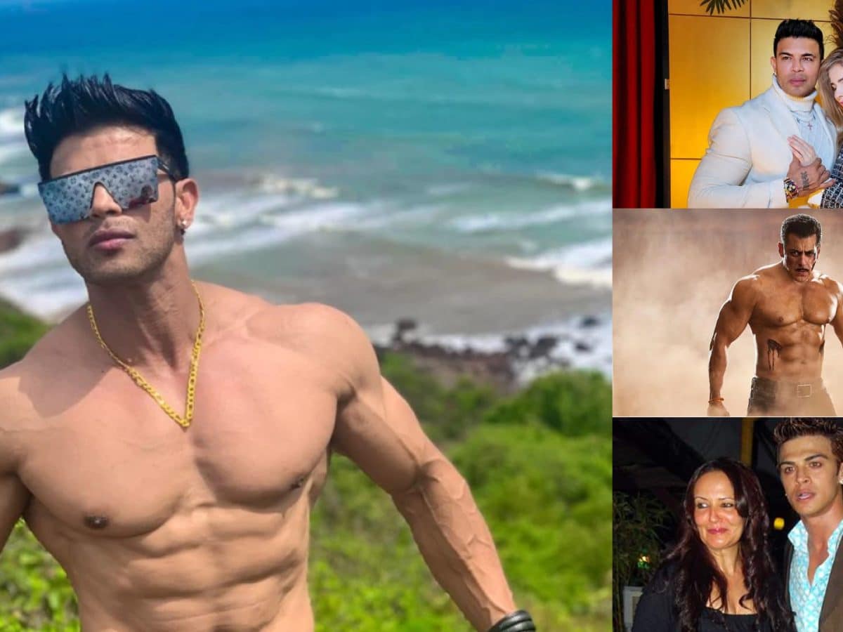 Did Aamir Khan take a jibe at films like Animal & Kabir Singh? Says males  are very insecure about chauvinistic Bollywood films