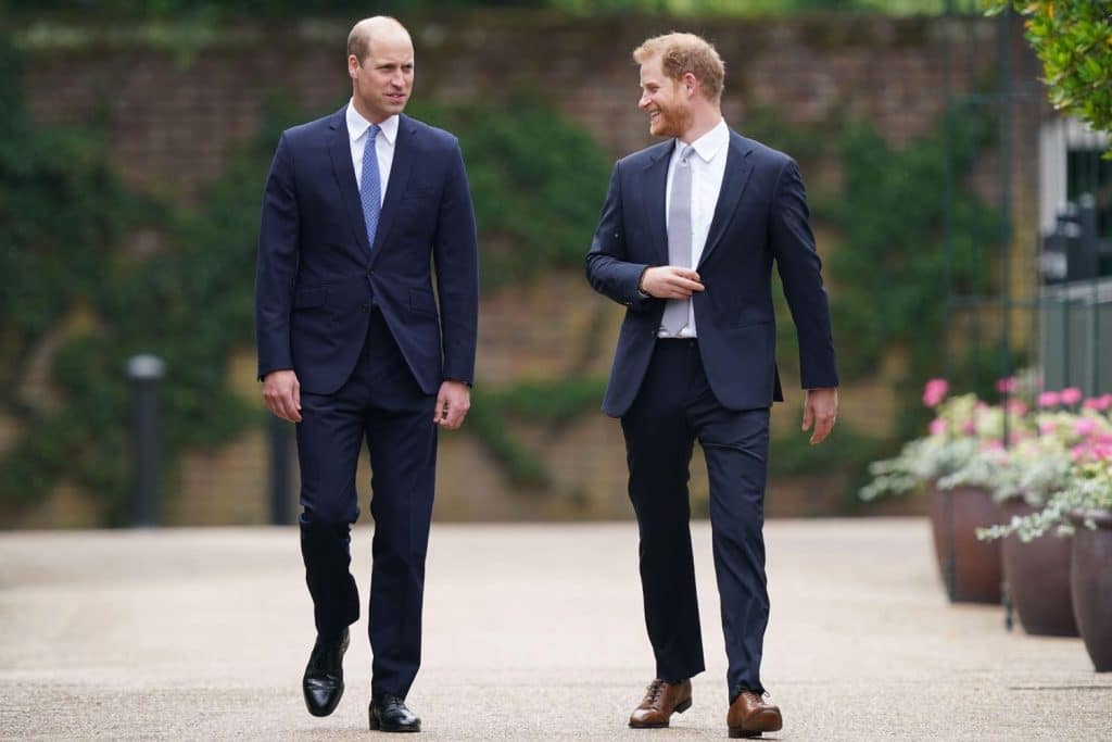 Prince William Prince Harry Relationship Breakdown