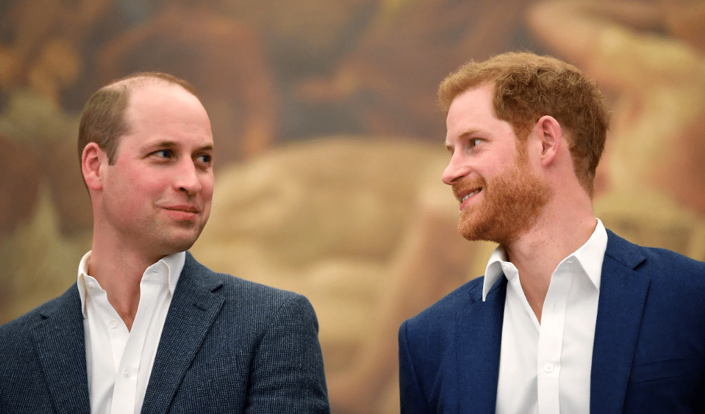 Prince William Prince Harry Relationship Breakdown(01)