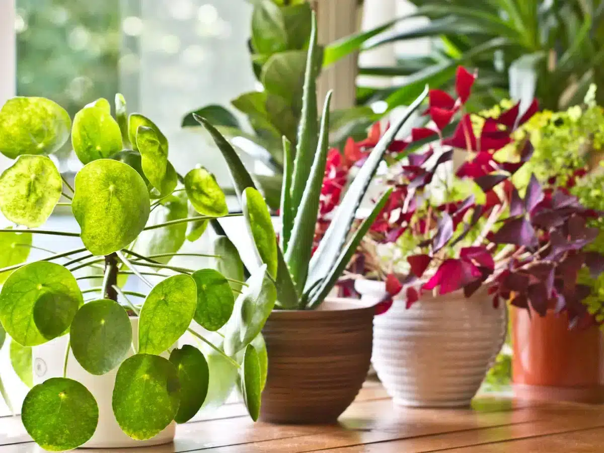 5 effective home cooling techniques to stay comfortable this summer