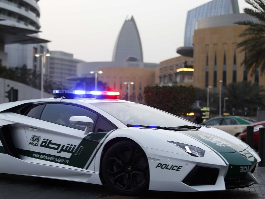 Dubai Police Officers Prevent Theft in Jebel Ali, Arrest Suspects