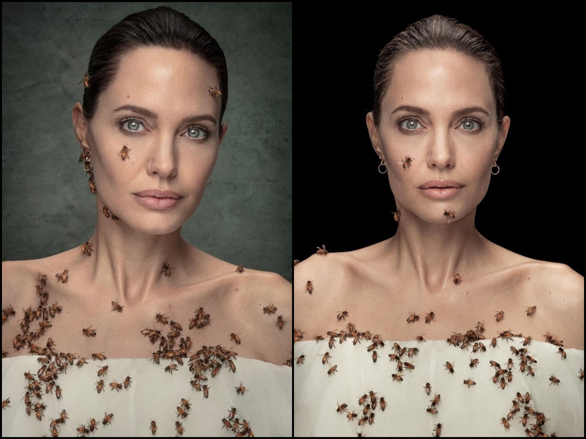 Watch Angelina Jolie S 18 Minute Long Photoshoot With Bees Is Breaking The Internet Masala Com