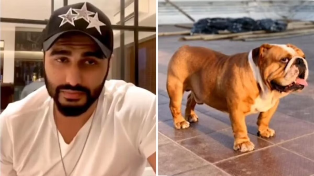 Arjun Kapoor mourns loss of his pet dog, pens heartbreaking note Death has been cruel... Masala