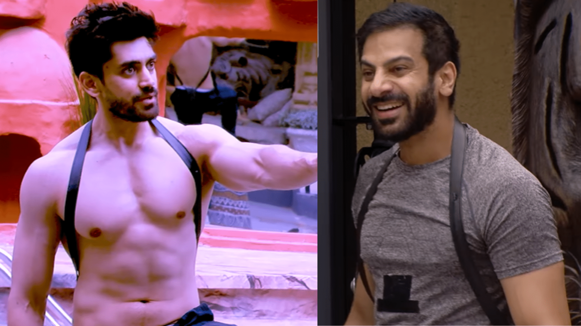 Bigg Boss 18: Avinash Mishra and Karan Veer Mehra get into an ugly ...